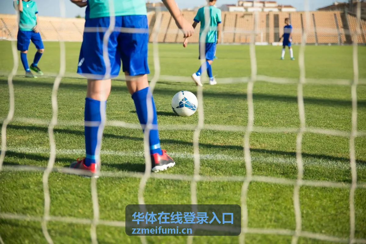 华体在线登录入口在移动端页面的适配效果