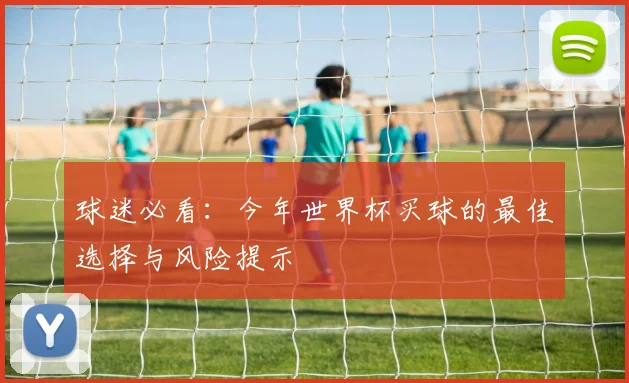 球迷必看：今年世界杯买球的最佳选择与风险提示